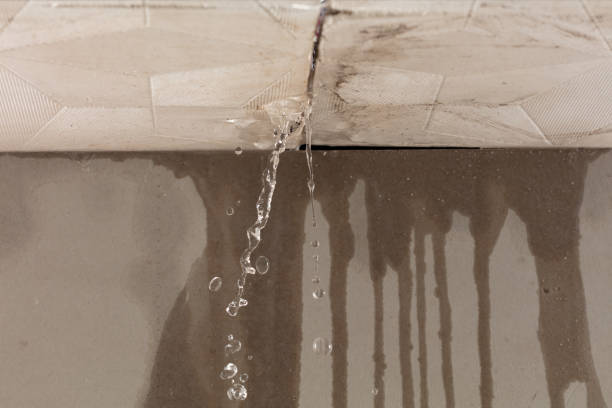 Professional Structural Drying technician working in Colgate, WI